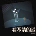 柳文浩 - 看不清的爱