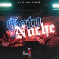 dj roman - Gato De Noche (Remix)