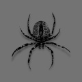 Spide - Between Us