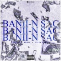 Banii-N Sac