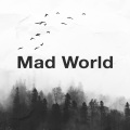 Tom Bailey - Mad World