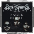 Eagle Night