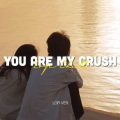 1 9 6 7、Quân AP - You Are My Crush (Lofi)
