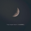 陆左左 - My Stupid Heart