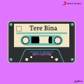 Tere Bina (Lofi Flip)