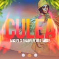 Culea (feat. Shainy El Brillante)(Explicit)