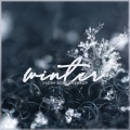 Vadim Bonkrashkov - Winter