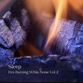 Reading and Studying Music、White Noise Sleep Therapy、Classical Music - Cat by the Fire