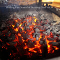 Weather and Nature Recordings、Spa Relaxation & Spa、Liquid Planet Recordings - Spiritual Relaxation Fire Sounds