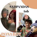 sadpandas、Tob - Ponyboy