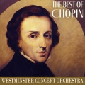 Westminster Concert Orchestra - Étude Op.10, No.3 in E major