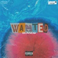 Wanted (Explicit)