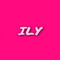 SLM、Sokol - Ily