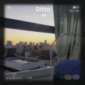 柏图、Tar Wenssi - Ditto