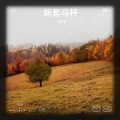方冬冬 - 新套马杆