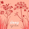 Lagu Anak-anak Bayi TaTaTa、Musik Siklus Tidur - Malam Damai