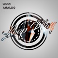Analog