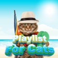 Playlist For Cats、Calm Music Playlist For Cats、Playlist For Kittens - Kittengy Treats