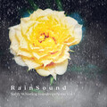 Rain Sound: Softly Whistling Raindrops Noise Vol. 1