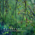 Rain Sound: Droplets Descending from Branches Vol. 1