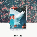 Kodaline - Saving Grace