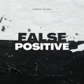 Fardad Falsafi - False Positive