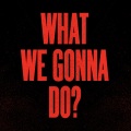 Vanilla Ace、dharkfunkh - What We Gonna Do?