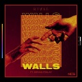 Bryan Finlay、Rival - Walls