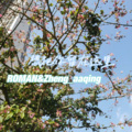 ROMAN - 想把你留在这里