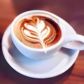 MORNING GLORY - 感情のプラズマ、清澄白河