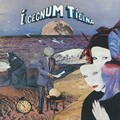 Í Gegnum Tíðina