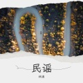 林涛 - 我不是你的宋冬野