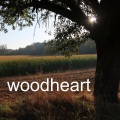 Woodheart - Carylon