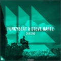 Funkybeat、Steve Hartz、Revealed Recordings - Chasing
