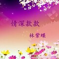 林紫蝶 - 枕着你的名字入眠