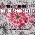 Bruce Springsteen - Spirit In The Night