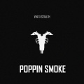 Vinz、Stealth - Poppin Smoke (Explicit)