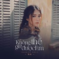 Orinn、Na - Không Thể Giữ Được Em (Lofi)
