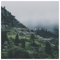 MintWhale - Forest Stream