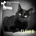 Flamen - Albacor