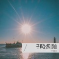 子烨音乐 - 女儿情