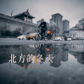 陕西牛犇 - 北方的冬天