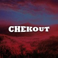 Pop Star - Chekout