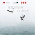 M.R.Y麦尔彦 - Catch My Breath