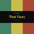 Past (0.8X)(Lives)