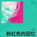 许立琳 - 粉红色的回忆 (Live)