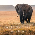 Welcome To Africa