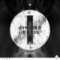 It's You (Broiler Remix Radio Edit)