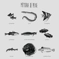 Carlos Bica、Memoria De Peixe - DayJob