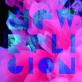 Paper Dragon、Jonathan David Templeman Savage、Bruce Charles Turner、Ruth Ellen Royal、Kris Liam Burton - New Religion (Radio Edit)